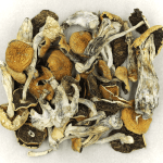 Full Moon Party | Strongest Magic Mushroom Strain Canada