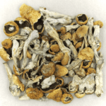 Orissa | Strongest Magic Mushroom Strain Canada