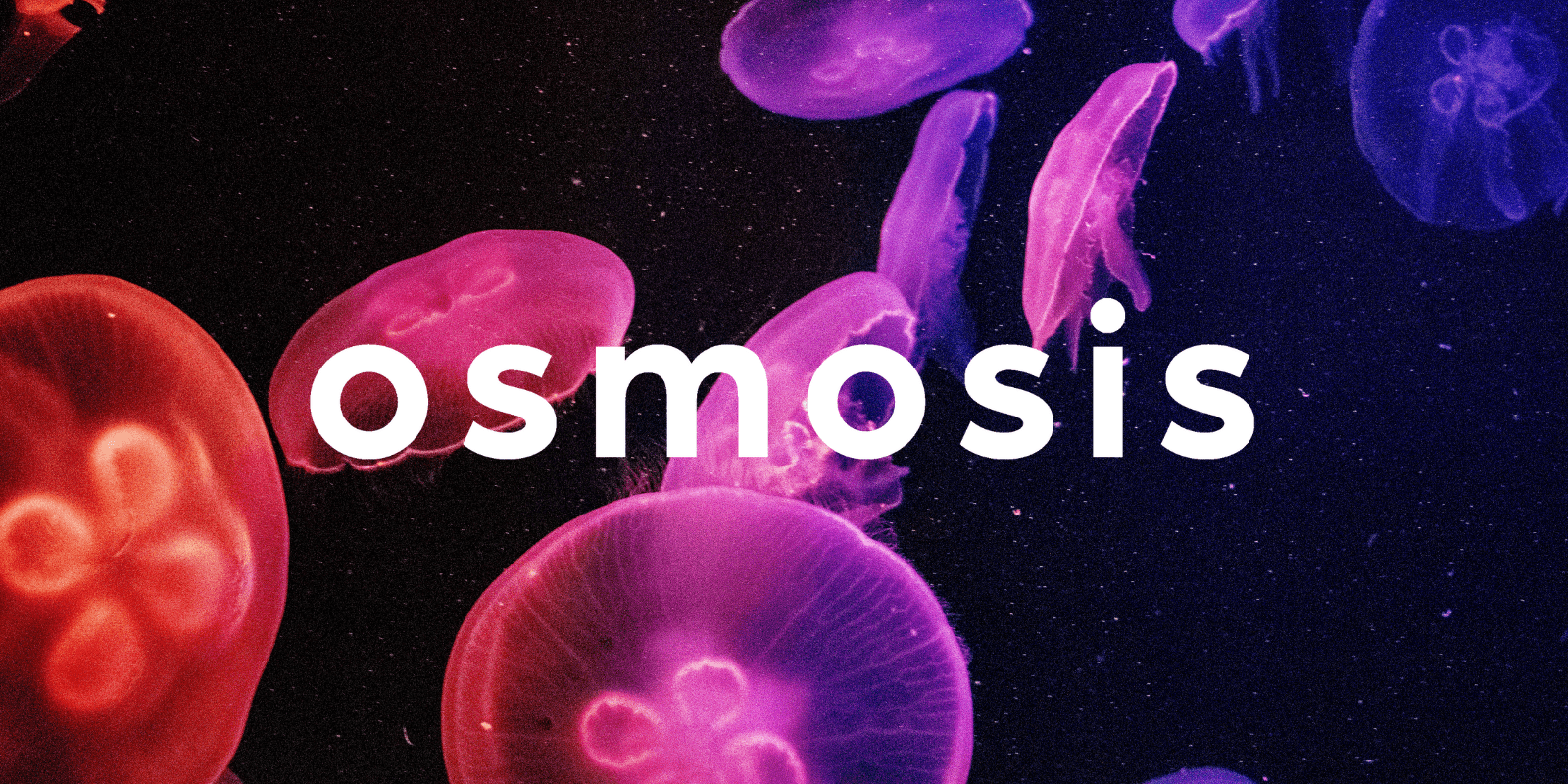 Zoomies osmosis banner | Strongest Magic Mushroom Strain Canada
