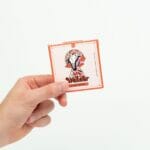 Wonder – Psilocybin Chocolate Bar – Blood Orange | Strongest Magic Mushroom Strain Canada