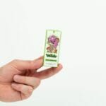 Wonder – Psilocybin Chocolate Bar – Dark Chocolate | Strongest Magic Mushroom Strain Canada