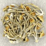 Hautla | Strongest Magic Mushroom Strain Canada