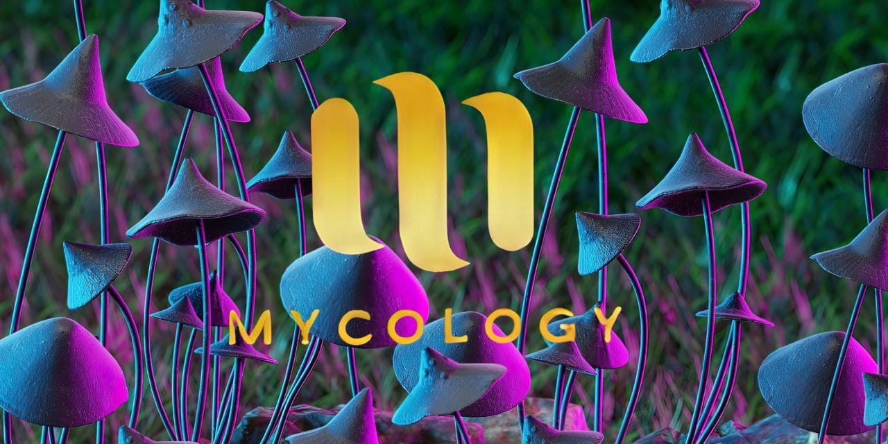 Zoomies Summer 2023 Banner - Mycology | Strongest Magic Mushroom Strain Canada