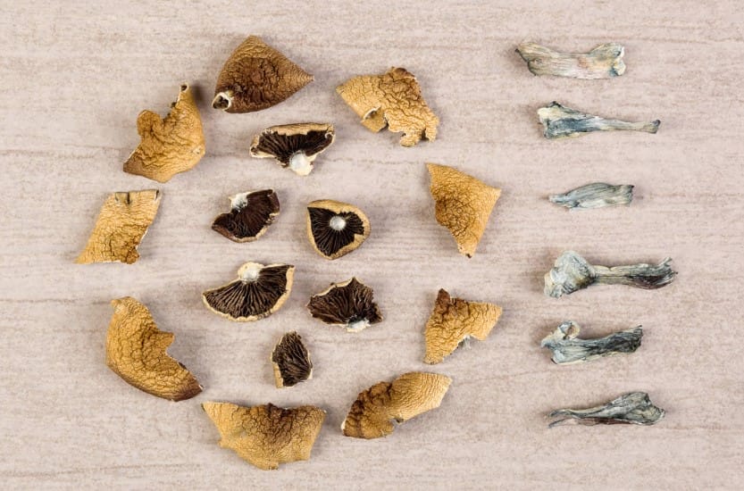 The Unexpected Connection Between Psychedelics and Improved Sex Magic mushroom Canada